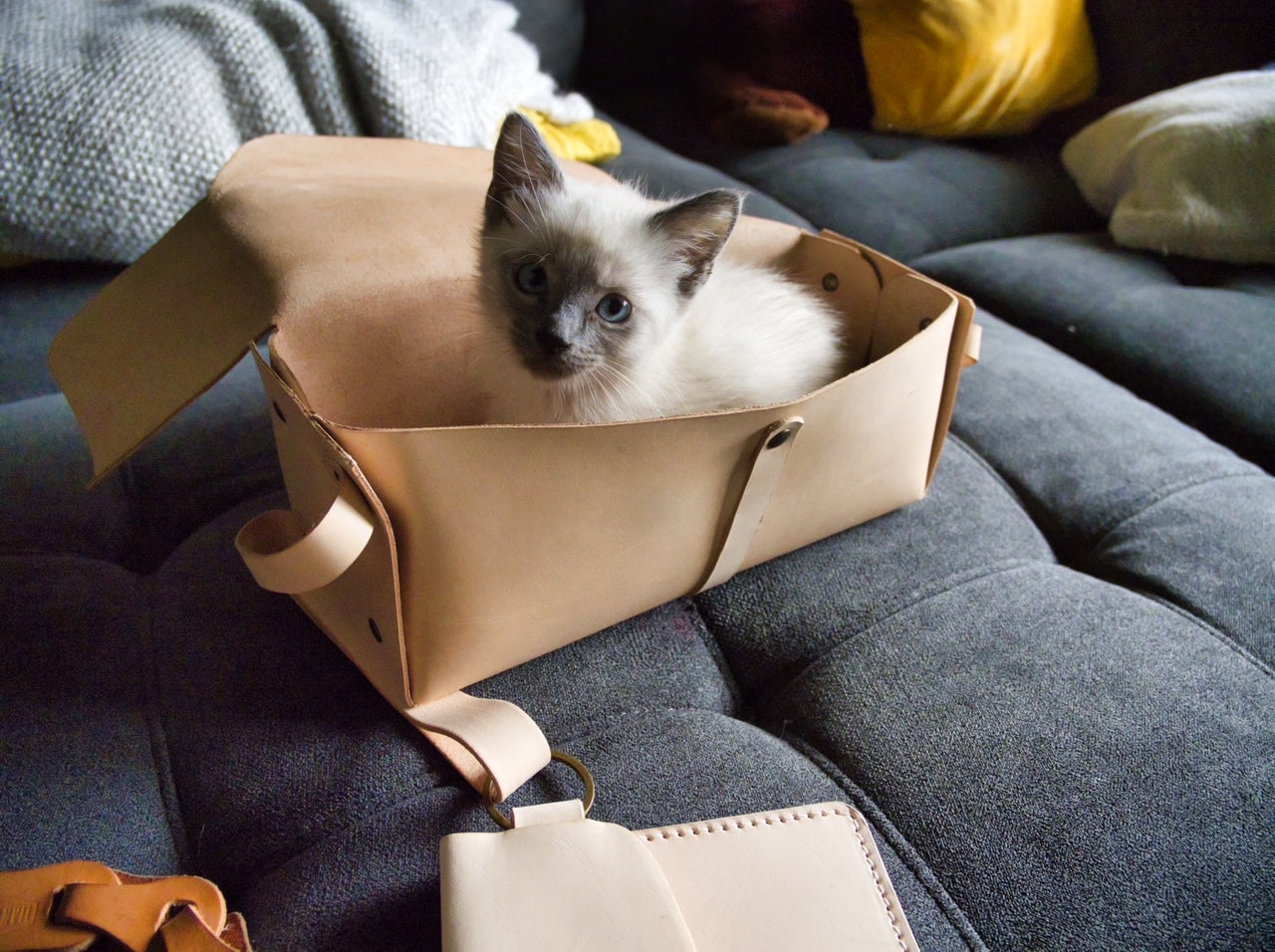 Dopp Kit Toiletry Bag