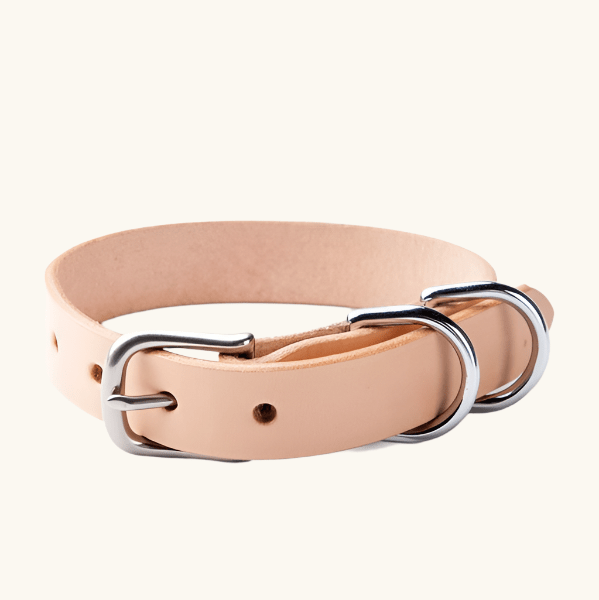 Leather canine collar