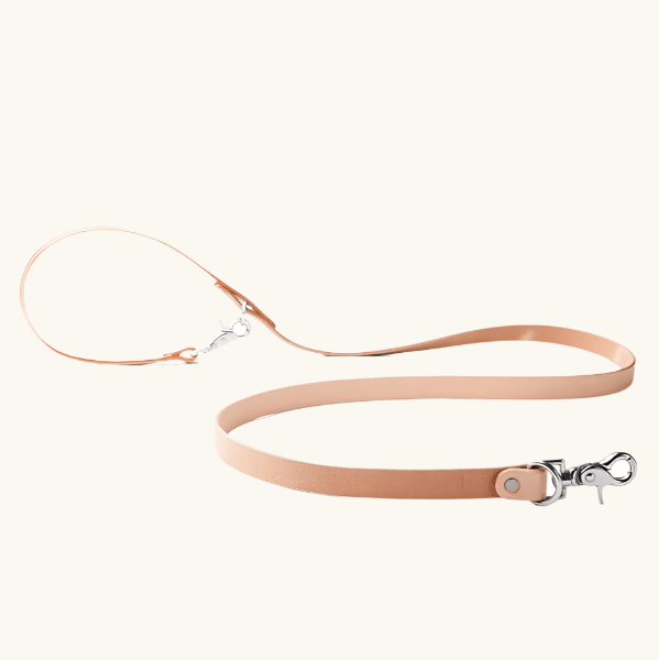 Leather canine lead